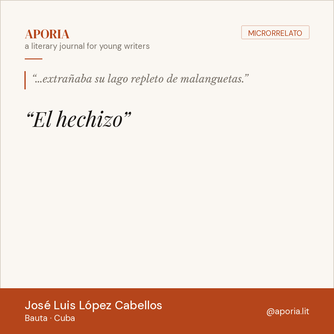 Contributor card for El hechizo